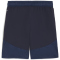 PUMA teamFINAL Shorts Herren 06 - PUMA navy/PUMA white/persian blue S