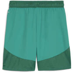 PUMA teamFINAL Shorts Herren 05 - sport green/puma...