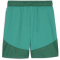 PUMA teamFINAL Shorts Herren 05 - sport green/puma white/power green S