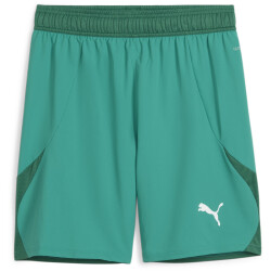 PUMA teamFINAL Shorts Herren 05 - sport green/puma...