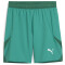 PUMA teamFINAL Shorts Herren 05 - sport green/puma white/power green XL