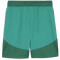 PUMA teamFINAL Shorts Herren 05 - sport green/puma white/power green XL