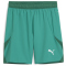 PUMA teamFINAL Shorts Herren 05 - sport green/puma white/power green XXL