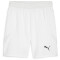 PUMA teamFINAL Shorts Herren 04 - PUMA white/PUMA black/feather gray XL