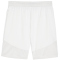 PUMA teamFINAL Shorts Herren 04 - PUMA white/PUMA black/feather gray XL