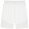 PUMA teamFINAL Shorts Herren 04 - PUMA white/PUMA black/feather gray 3XL
