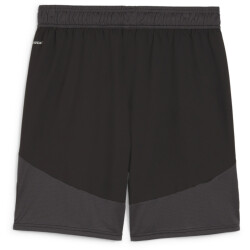 PUMA teamFINAL Shorts Herren 03 - PUMA black/PUMA...