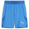 PUMA teamFINAL Shorts Herren 02 - ignite blue/puma white/puma team royal M