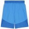 PUMA teamFINAL Shorts Herren 02 - ignite blue/puma white/puma team royal M