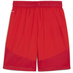 PUMA teamFINAL Shorts Herren 01 - PUMA red/PUMA...