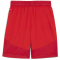 PUMA teamFINAL Shorts Herren 01 - PUMA red/PUMA white/fast red XXL