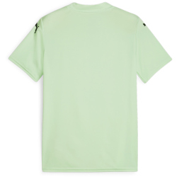PUMA teamGLORY Trikot Kinder 60 - fresh mint/puma black 116