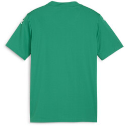PUMA teamGLORY Trikot Kinder 05 - sport green/puma...