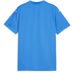 PUMA teamGLORY Trikot Kinder 02 - electric blue...