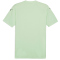 PUMA teamGLORY Trikot Herren 60 - fresh mint/puma black XXL