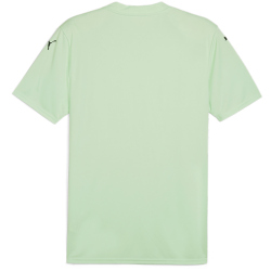 PUMA teamGLORY Trikot Herren 60 - fresh mint/puma black 3XL