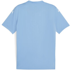 PUMA teamGLORY Trikot Herren 18 - team light blue/puma...