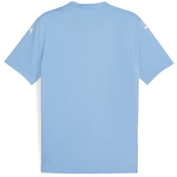 PUMA teamGLORY Trikot Herren 18 - team light blue/puma...