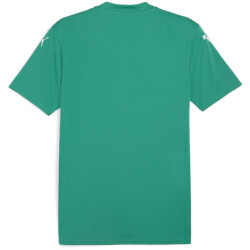 PUMA teamGLORY Trikot Herren 05 - sport green/puma...