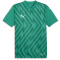 PUMA teamGLORY Trikot Herren 05 - sport green/puma white/power green S