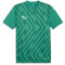 PUMA teamGLORY Trikot Herren 05 - sport green/puma white/power green M