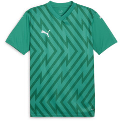PUMA teamGLORY Trikot Herren 05 - sport green/puma...