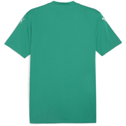 PUMA teamGLORY Trikot Herren 05 - sport green/puma...
