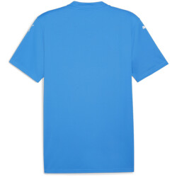 PUMA teamGLORY Trikot Herren 02 - electric blue...