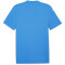 PUMA teamGLORY Trikot Herren 02 - electric blue lemonade/puma white/blazing blue XXL