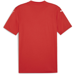 PUMA teamGLORY Trikot Herren 01 - PUMA red/PUMA...