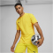 PUMA teamFINAL Trikot Herren 07 - faster yellow/puma black/sport yellow M