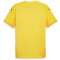 PUMA teamFINAL Trikot Herren 07 - faster yellow/puma black/sport yellow M