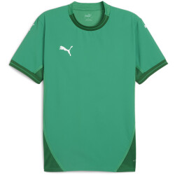 PUMA teamFINAL Trikot Herren 05 - sport green/puma...