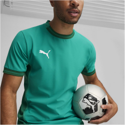 PUMA teamFINAL Trikot Herren 05 - sport green/puma white/power green S