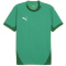 PUMA teamFINAL Trikot Herren 05 - sport green/puma white/power green S