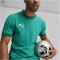 PUMA teamFINAL Trikot Herren 05 - sport green/puma white/power green S