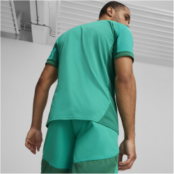 PUMA teamFINAL Trikot Herren 05 - sport green/puma white/power green L