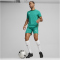 PUMA teamFINAL Trikot Herren 05 - sport green/puma white/power green L