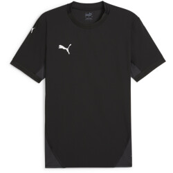 PUMA teamFINAL Trikot Herren 03 - PUMA black/PUMA...