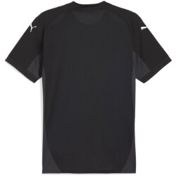 PUMA teamFINAL Trikot Herren 03 - PUMA black/PUMA...