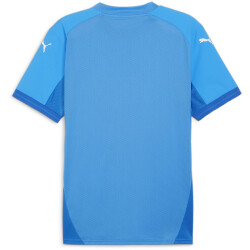 PUMA teamFINAL Trikot Herren 02 - ignite blue/puma...