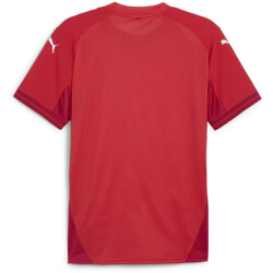 PUMA teamFINAL Trikot Herren 01 - PUMA red/PUMA...