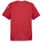 PUMA teamFINAL Trikot Herren 01 - PUMA red/PUMA white/fast red XL