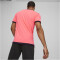 PUMA teamLIGA Trainingsshirt Herren 57 - sunset glow/puma black L