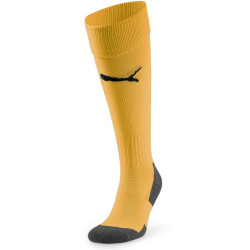 PUMA Team Liga Core Stutzenstrümpfe 61 - sun stream...