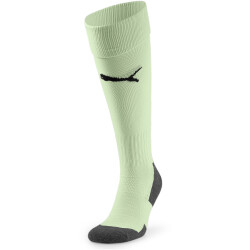 PUMA Team Liga Core Stutzenstrümpfe 60 - fresh mint...