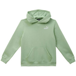 PUMA Essentials+ Embroidery Fleece Hoodie Kinder 89 -...
