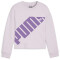 PUMA Power Crew Sweatshirt Mädchen 60 - grape mist 128