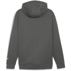 PUMA RAD/CAL DK 1/2-Zip Hoodie Herren 80 - mineral gray S