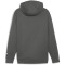 PUMA RAD/CAL DK 1/2-Zip Hoodie Herren 80 - mineral gray XL